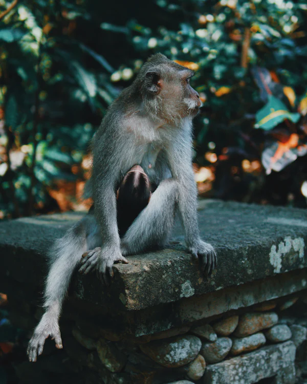 Ubud temples