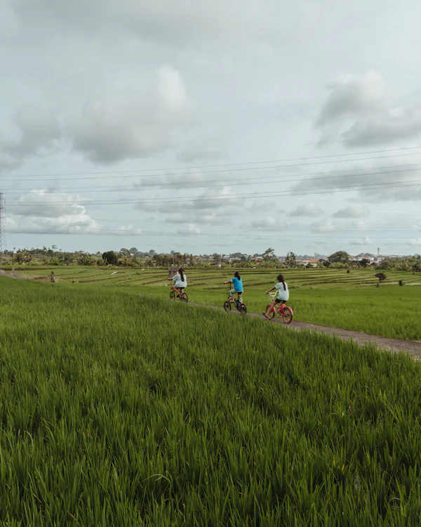 Rice-field cycling